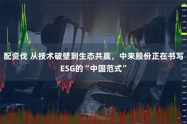 配资伐 从技术破壁到生态共赢，中来股份正在书写ESG的“中国范式”
