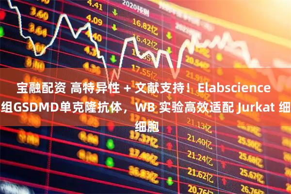 宝融配资 高特异性 + 文献支持!Elabscience 重组GSDMD单克隆抗体,WB 实验高效适配 Jurkat 细胞