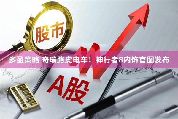 多盈策略 奇瑞路虎电车！神行者8内饰官图发布