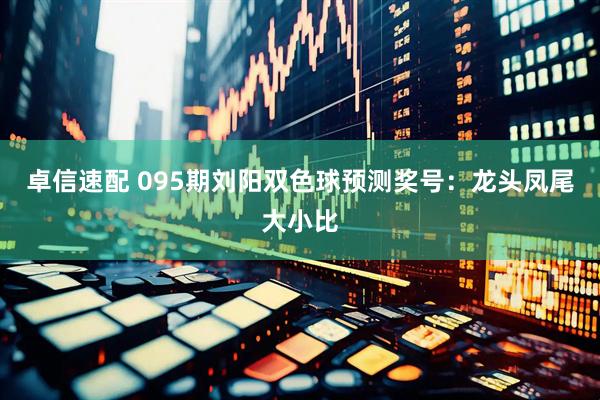 卓信速配 095期刘阳双色球预测奖号：龙头凤尾大小比